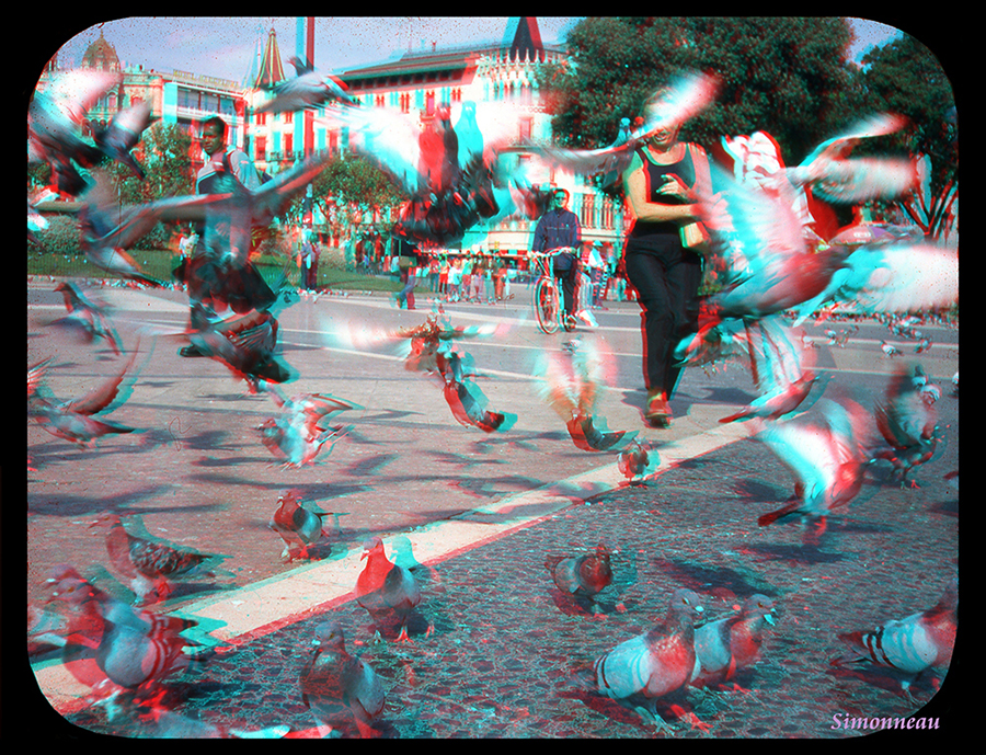 Asustadas, emprenden vuelo.