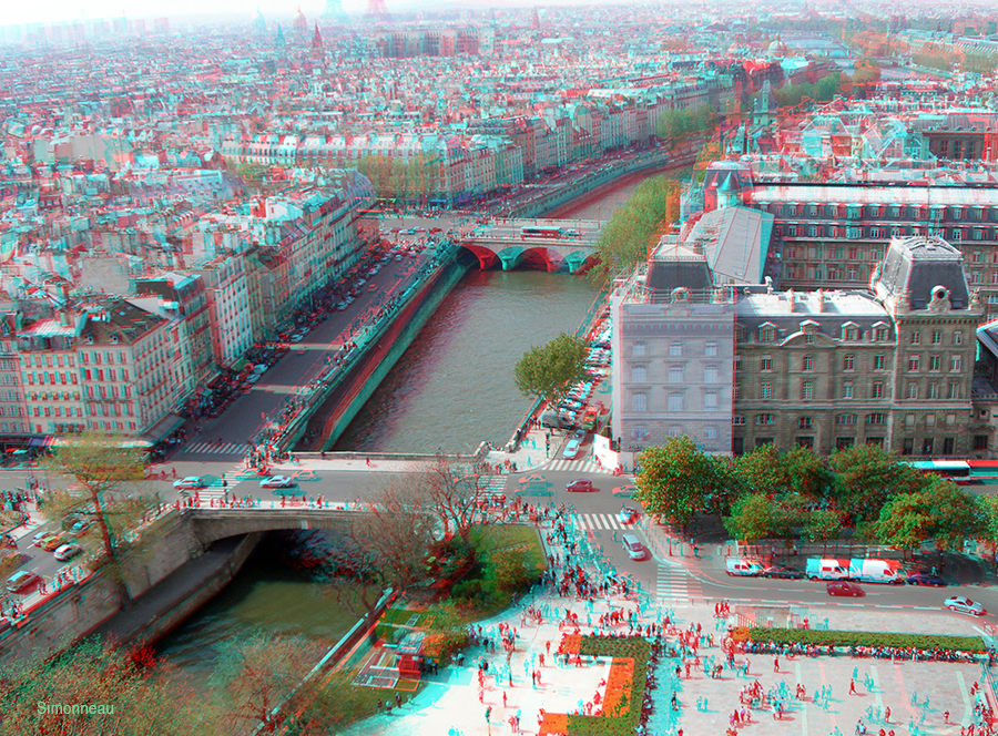 Imagen tomada desde la torre de Notre Dame, m�s cercana a �l.